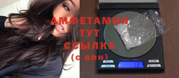 прущие грибы Магадан