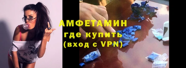 прущие грибы Магадан