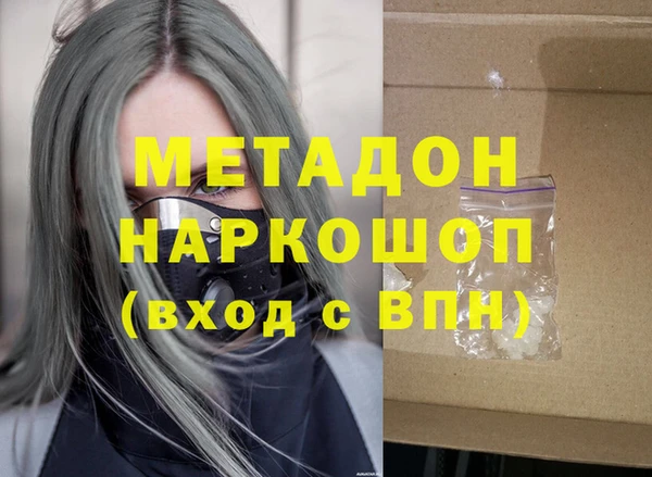 прущие грибы Магадан