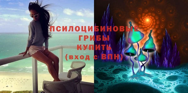 прущие грибы Магадан