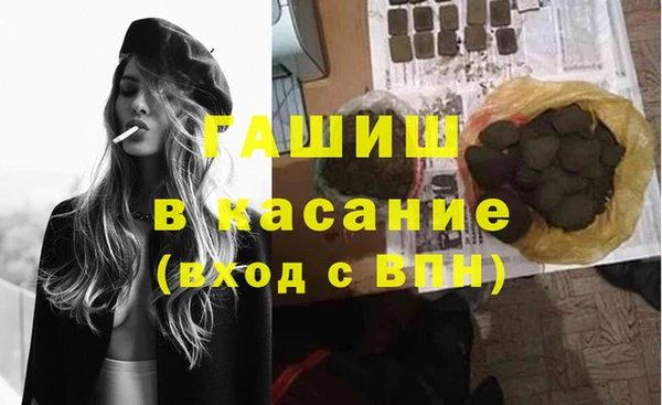 прущие грибы Магадан