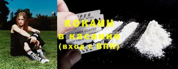 крисы Майский