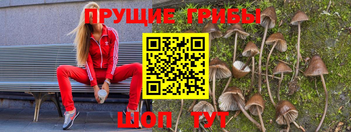 Галлюциногенные грибы мицелий Владивосток