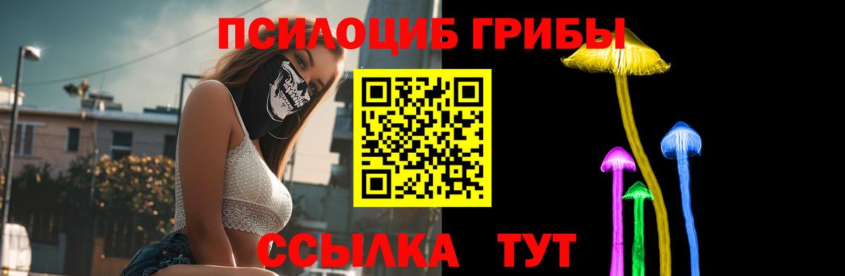 Галлюциногенные грибы Psilocybine cubensis  Владивосток 